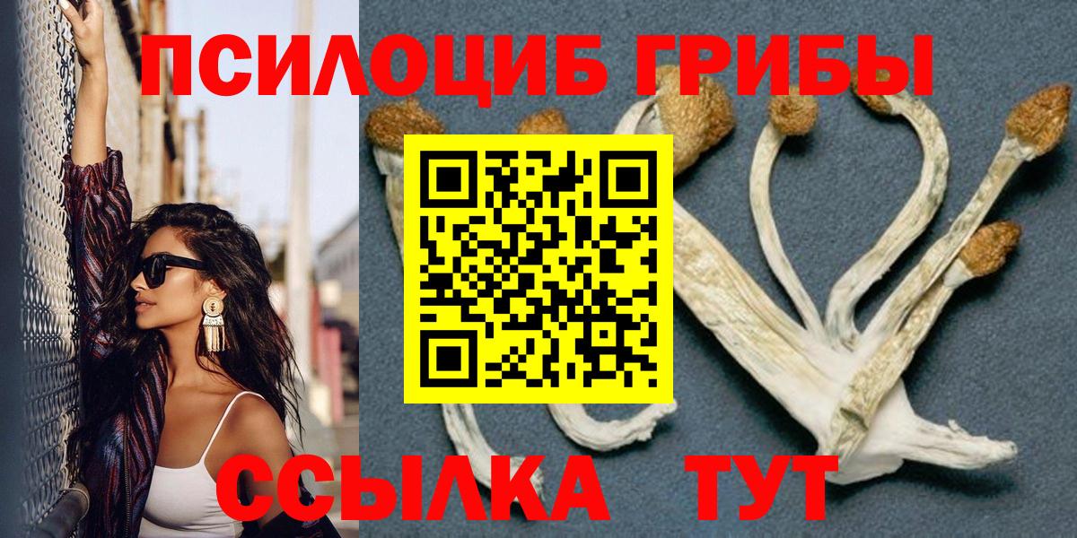 Псилоцибиновые грибы ЛСД Назрань