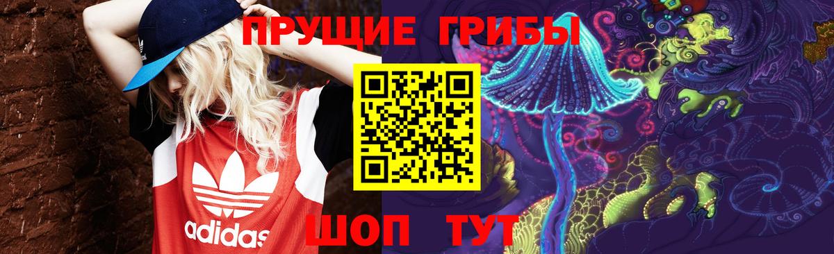 Псилоцибиновые грибы GOLDEN TEACHER  Галлюциногенные грибы GOLDEN TEACHER  Назрань  Вход с VPN 